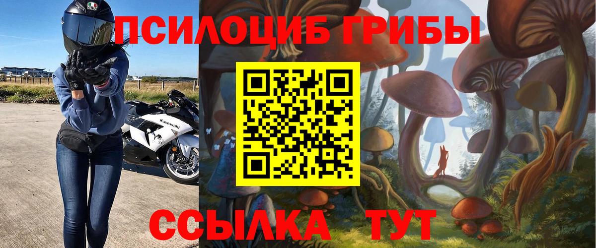 Галлюциногенные грибы Cubensis Сертолово
